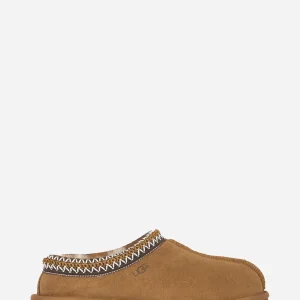 Ciabatta Tasman in suede Chestnut