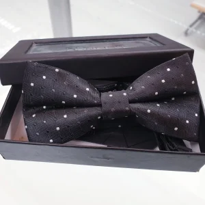 Papillon nero pois
