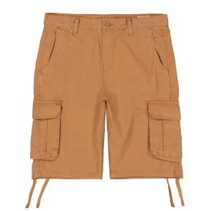 Bermuda Tasconi TABACCO