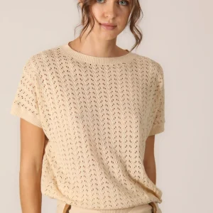 Pipistrello traforato