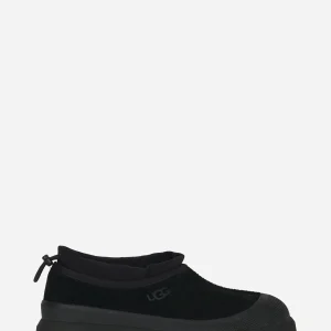 Tasman weather hybrid Nera