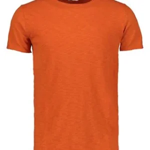 T-Shirt Uomo Apricot